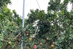 Hanoi Countryside Tour Co Loa Citadel by Jeep (New Activity)