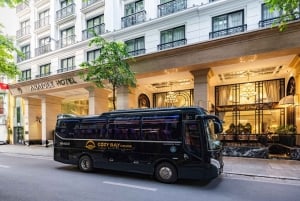 Baia di Halong: Crociera di lusso di un giorno con buffet, kayak e bagno