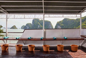 Hanoi: Koselig cruise med overnatting i Halong Bay med måltider