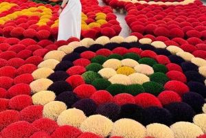 Hanoi: Craft Villages Tour & Optional Train Street Drop Off