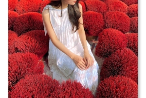 Hanoi: Cu Da-sojasaucelandsbyen eller hatte- og røgelseslandsbyen