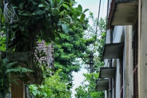 Hanoi: Cuu Ancient Village, Incense Village and Dau Pagoda