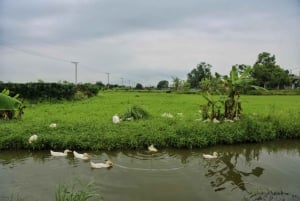 Hanoi: Cuu Ancient Village, Incense Village and Dau Pagoda