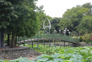 Hanoi: Cuu Ancient Village, Incense Village and Dau Pagoda