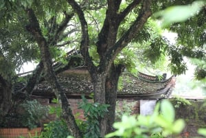 Hanoi: Cuu Ancient Village, Incense Village and Dau Pagoda