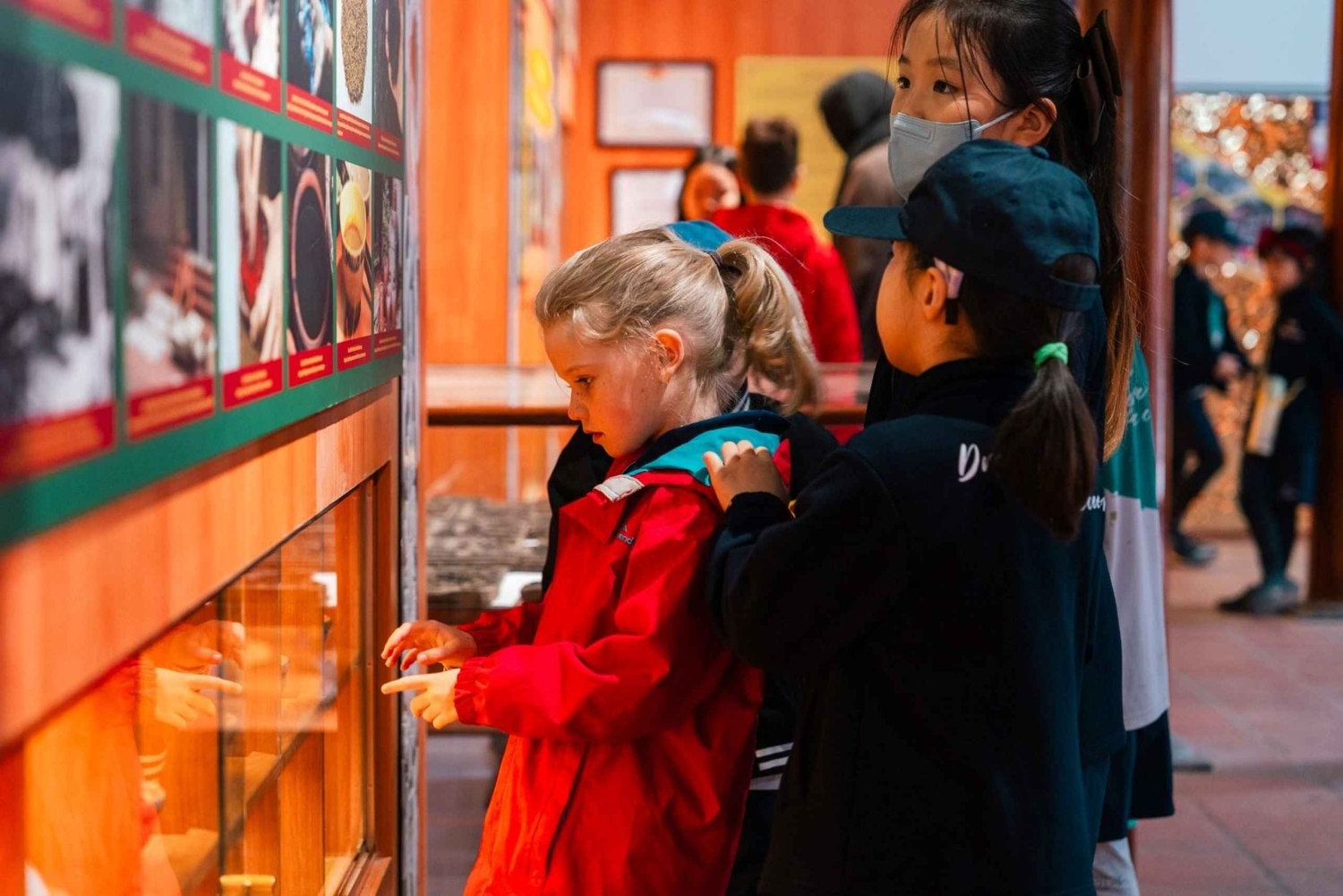 Hanoi: Dong Ho Painting Village & Dau Pagoda Tour with Lunch