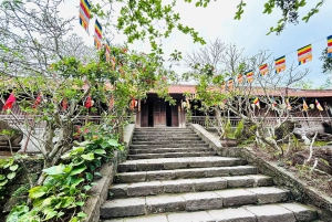Hanoi: Dong Ho-malerlandsbyen og Dau-pagoden med lunsj
