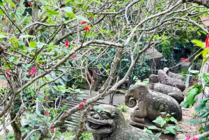 Hanoi: Dong Ho-malerlandsbyen og Dau-pagoden med lunsj