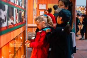 Hanoi: Dong Ho Painting Village & Dau Pagoda Tour with Lunch