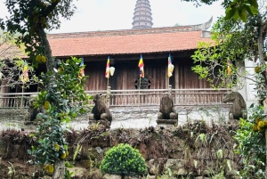 Hanoi: Dong Ho Painting Village & Dau Pagoda Tour with Lunch