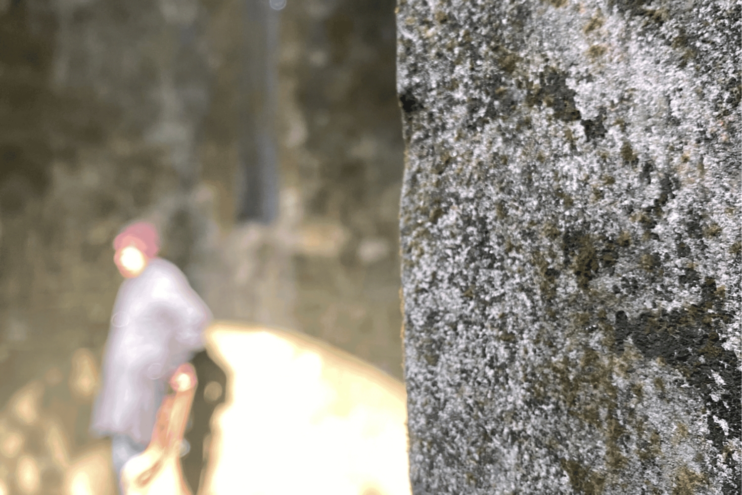 Hanoi Eco Tour: Ba Vi nationalparkens vidundere og teplantage