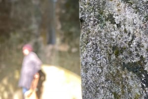 Tour ecologico di Hanoi: Meraviglie del Parco Nazionale di Ba Vi e piantagione di tè
