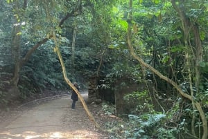 Tour ecologico di Hanoi: Meraviglie del Parco Nazionale di Ba Vi e piantagione di tè
