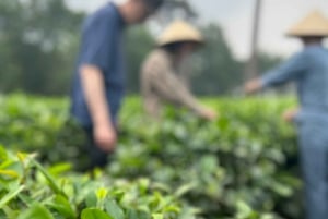 Tour ecologico di Hanoi: Meraviglie del Parco Nazionale di Ba Vi e piantagione di tè