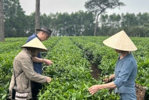 Tour ecologico di Hanoi: Meraviglie del Parco Nazionale di Ba Vi e piantagione di tè