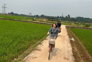 Tour ecologico di Hanoi: Meraviglie del Parco Nazionale di Ba Vi e piantagione di tè