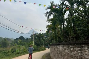Tour ecologico di Hanoi: Meraviglie del Parco Nazionale di Ba Vi e piantagione di tè