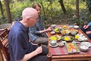Tour ecologico di Hanoi: Meraviglie del Parco Nazionale di Ba Vi e piantagione di tè