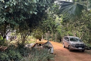 Tour ecologico di Hanoi: Meraviglie del Parco Nazionale di Ba Vi e piantagione di tè