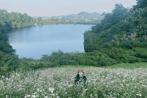 Hanoi Eco Tour: Ba Vi nationalparkens vidundere og teplantage