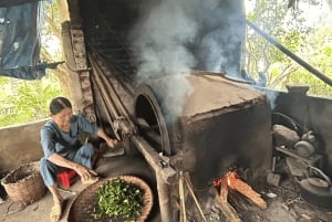 Hanoi Eco Tour: Ba Vi nationalparkens vidundere og teplantage