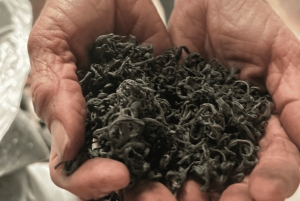 Hanoi Eco Tour: Ba Vi nationalparkens vidundere og teplantage