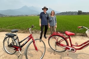 Hanoi Eco Tour: Ba Vi nationalparkens vidundere og teplantage