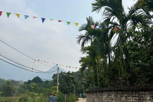 Hanoi Eco Tour: Ba Vi nationalparkens vidundere og teplantage