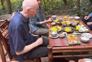 Hanoi Eco Tour: Ba Vi nationalparkens vidundere og teplantage