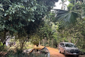 Hanoi Eco Tour: Ba Vi nationalparkens vidundere og teplantage