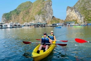 Da Hanoi: Tour della Baia di Ha Long con crociera e pranzo