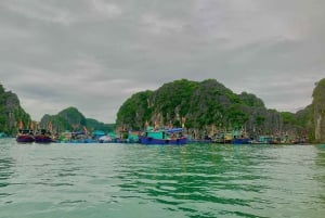 Hanoi: Cat Ban helmi – kahden päivän risteily ja kajakkimatka