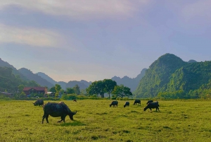 Hanoi: Cat Ban helmi – kahden päivän risteily ja kajakkimatka