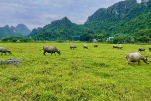 Hanoi: Cat Ban helmi – kahden päivän risteily ja kajakkimatka