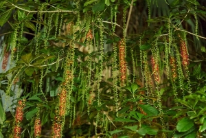 Hanoi: lipputilaisuus ja yhteisöllinen ruoanlaittokurssi