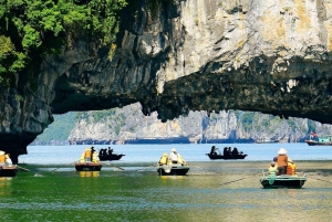 Hanoi: Crucero de día completo por la bahía de Halong con travesía a nado y en kayak