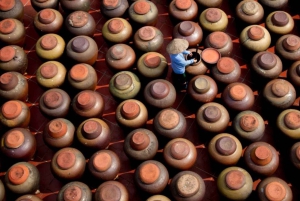 Hanói: Viagem de 1 dia para Bamboo Fish Trap e Aldeias de Molho de Soja