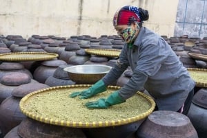 Hanói: Viagem de 1 dia para Bamboo Fish Trap e Aldeias de Molho de Soja