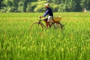 Z Hanoi: Grupowa lub prywatna wycieczka całodniowa do Mai Chau