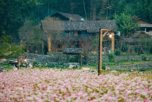 Hanoi: 3-dages tur til Ha Giang med bådtur på Nho Que-floden