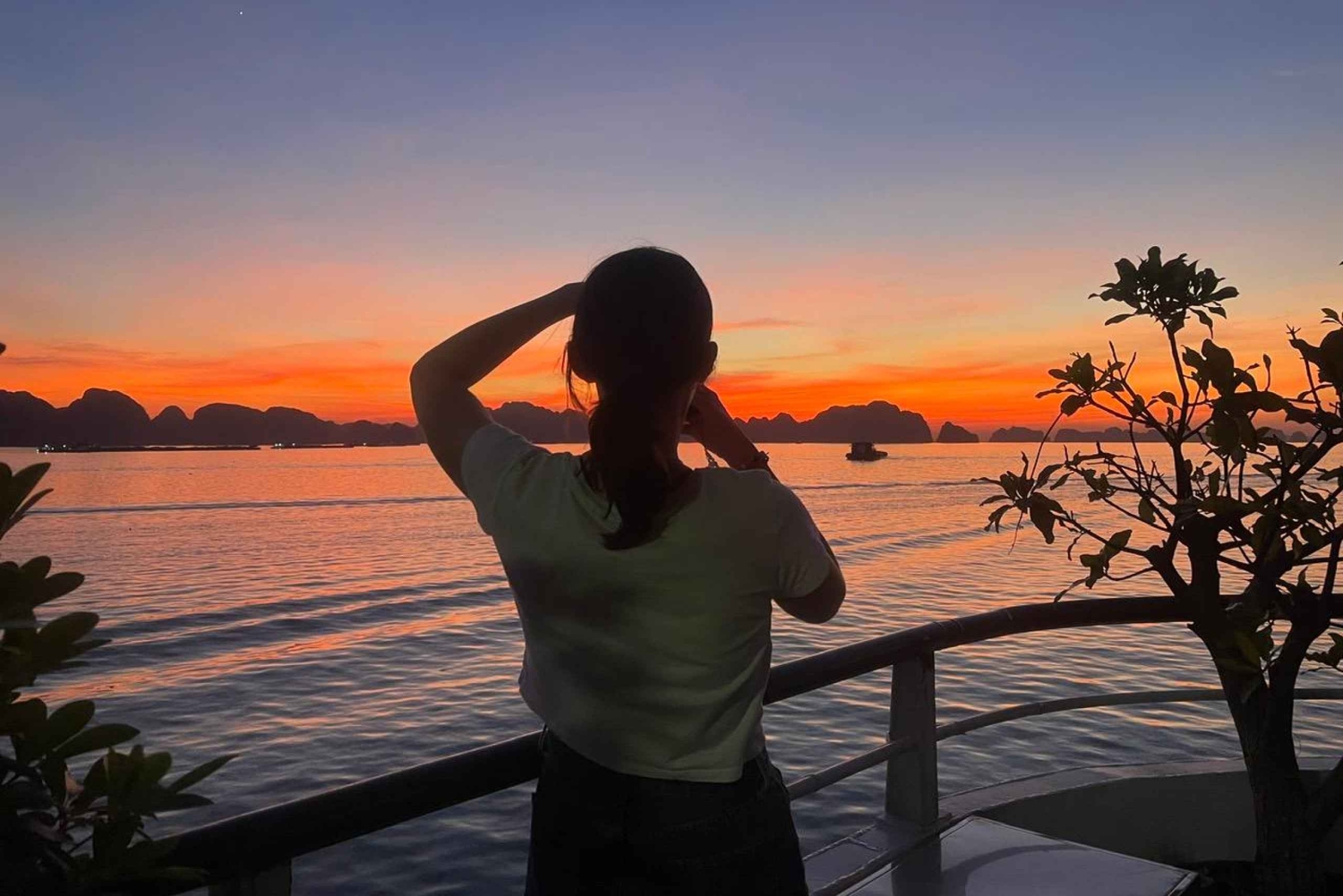 Hanói: Viagem de um dia à Baía de Ha Long – Cruzeiro de luxo e almoço local