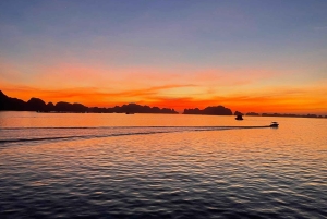 Hanói: Viagem de um dia à Baía de Ha Long – Cruzeiro de luxo e almoço local