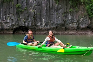 Hanói: Viagem de um dia à Baía de Ha Long – Cruzeiro de luxo e almoço local