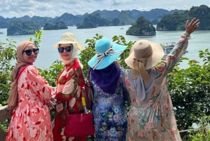 Hanói: Viagem de um dia à Baía de Ha Long – Cruzeiro de luxo e almoço local