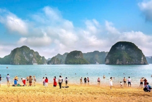 Hanói: Viagem de um dia à Baía de Ha Long – Cruzeiro de luxo e almoço local