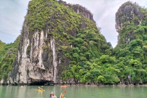 Hanói: Viagem de um dia à Baía de Ha Long – Cruzeiro de luxo e almoço local