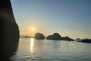 Hanói: Viagem de um dia à Baía de Ha Long – Cruzeiro de luxo e almoço local