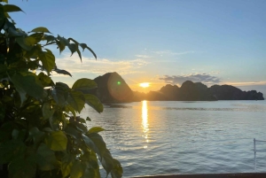 Hanói: Viagem de um dia à Baía de Ha Long – Cruzeiro de luxo e almoço local