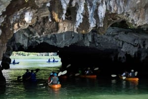 Hanoi: Ha Long Bay päiväretki - ylellinen risteily ja buffet-lounas