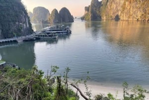 Hanoi: Ha Long Bay päiväretki - ylellinen risteily ja buffet-lounas